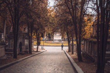Paris, Fransa - Ekim 03, 2019: Pere Lachaise - bulutlu bir sisli sabahta mezarlığın dar sokakları boyunca bir yürüyüş - gizemli ve atmosferik bir yer