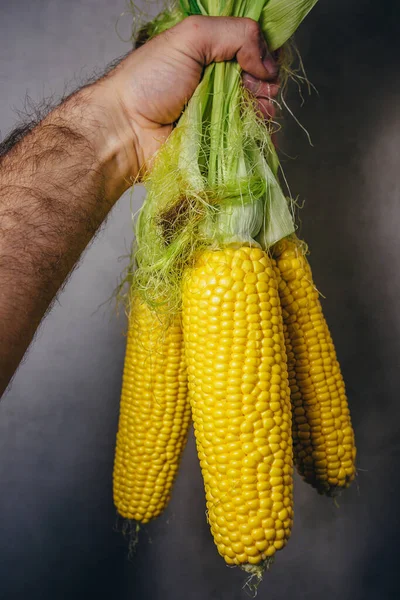 Rough Male Farm Hand Three Ears Corn — Stock Photo, Image