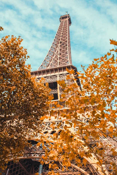 Eiffelturm Eingetaucht Gelbes Herbstlaub Vor Blauem Himmel Ansicht Von Unten — Stockfoto