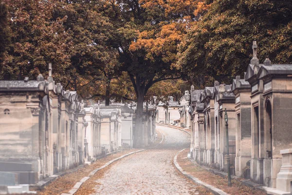 프랑스 2019 구름낀 안개낀 아침에 묘지의 골목을 신비롭고 대기권에 — 스톡 사진