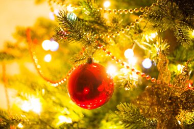 Dekorasyon Noel ağacı