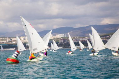 Regatta denizde yelken