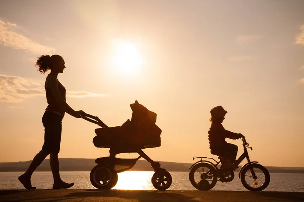 Moeder met een wandelwagen — Stockfoto