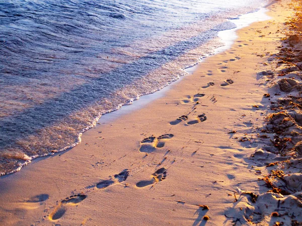 Impronte Umane Sulla Spiaggia Sabbiosa Del Mare — Foto Stock