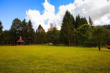 Çim ve ağaçların Kocevski Rog veya Kocevje Rog