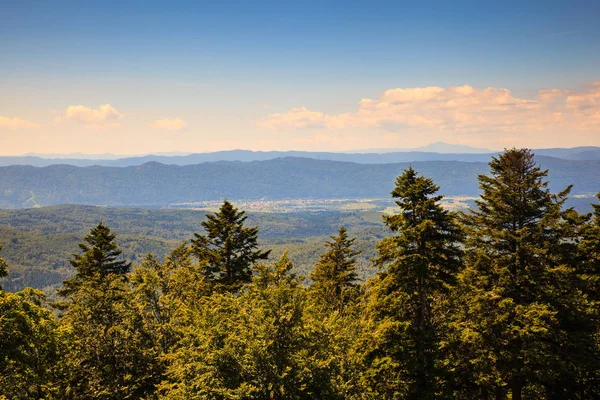 Landschaft von kocevski rog, Slowenien — Stockfoto