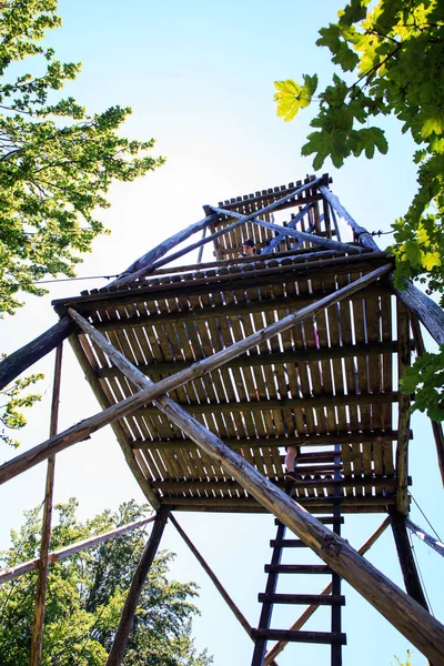 Torre di legno nel Rog Kocevski — Foto Stock