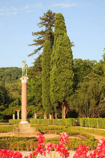 Ciprés en el parque Miramare, Trieste — Foto de Stock