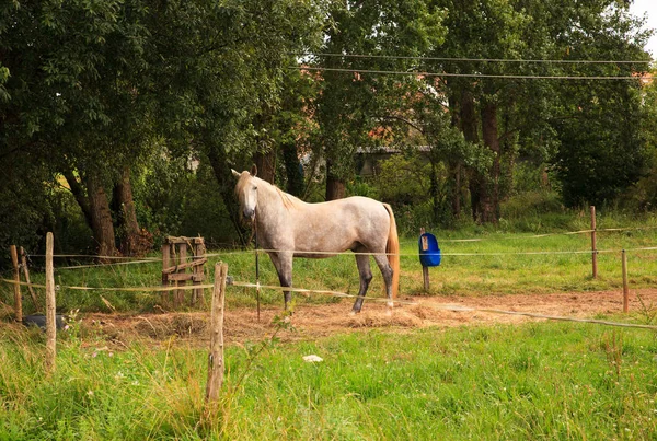 ATI görebilmek — Stok fotoğraf