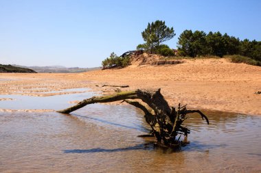 Liencres dunes doğa rezerv