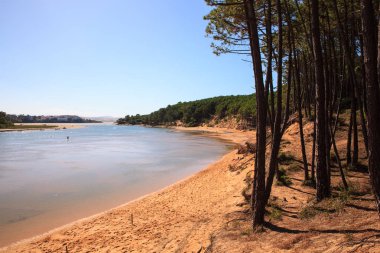 Liencres dunes doğa rezerv