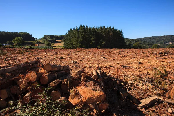 Deforestación en España — Foto de Stock
