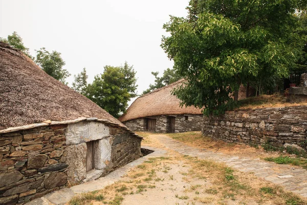 Palloza traditional northwest spanish dwelling — Stock Photo, Image