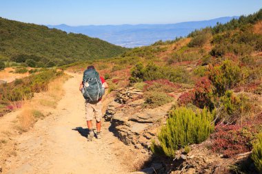 Pilgrimn St. James yol boyunca 