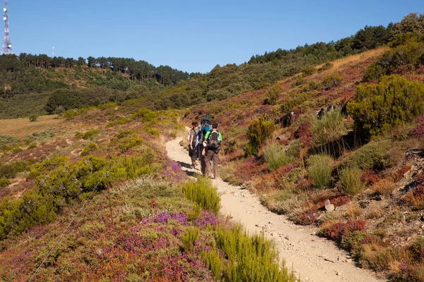 Pilgrimns St. James yol boyunca — Stok fotoğraf