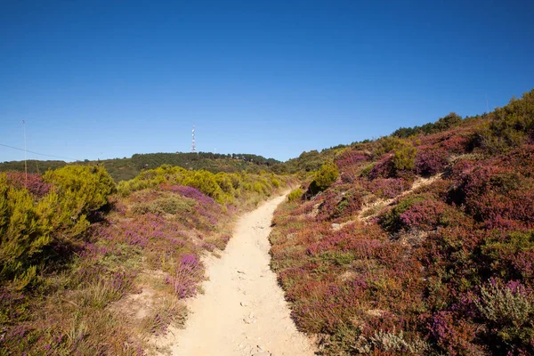 İspanyol kırsal kesimde yol 