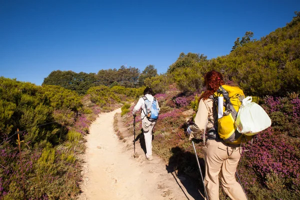 Pilgrimns St. James yol boyunca — Stok fotoğraf