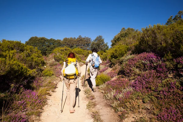 Pilgrimns langs de weg van St. James — Stockfoto