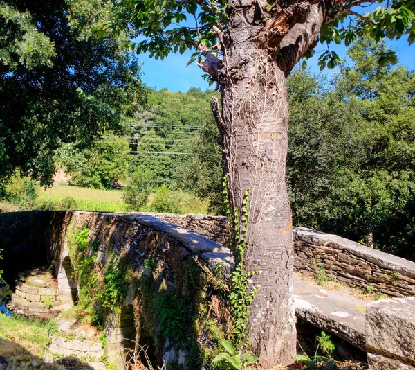 Vista da ponte de pedra — Fotografia de Stock