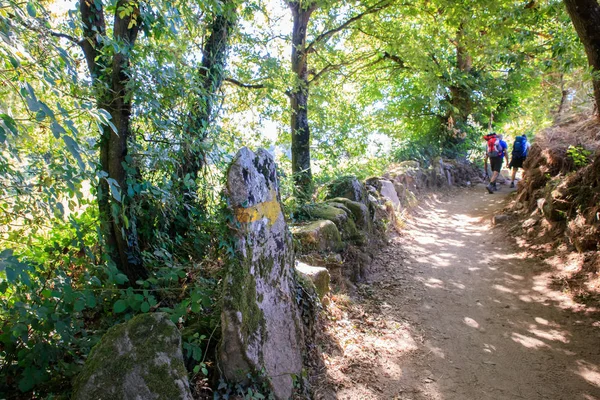 Peregrinos por el camino de Santiago — Foto de Stock