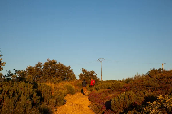 Pilgrimns St. James yol boyunca — Stok fotoğraf