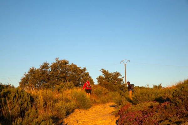 Pilgrimns St. James yol boyunca — Stok fotoğraf