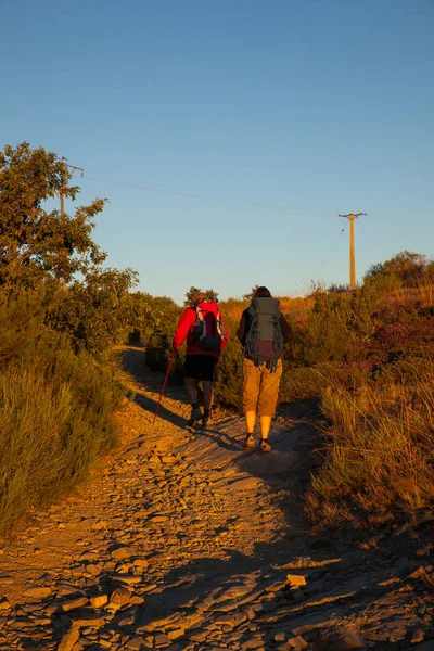 Peregrinos por el camino de Santiago —  Fotos de Stock