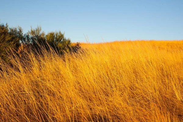 Zicht op het Spaanse platteland — Stockfoto