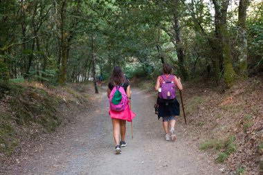 Pilgrimns St. James yol boyunca