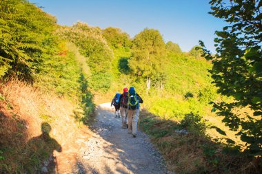 Pilgrimns St. James yol boyunca