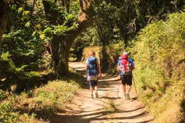 Pilgrimns St. James yol boyunca