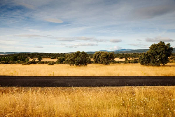 Vista de los árboles en el campo español — Foto de Stock