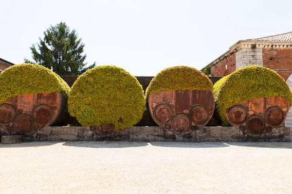 Staré cisterny, arsenale — Stock fotografie