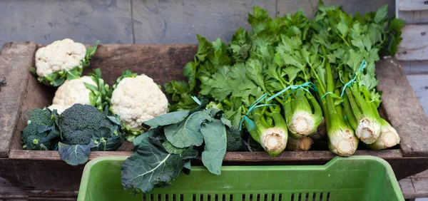 Selderij, broccoli en bloemkool — Stockfoto