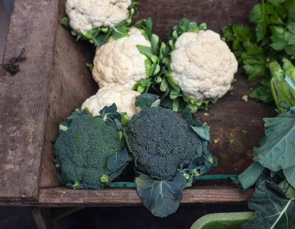 Broccoli och blomkål — Stockfoto