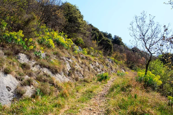 Kırsal yol görünümünü — Stok fotoğraf