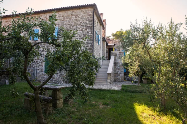 Groznjan bahçede elma ağaçlarının