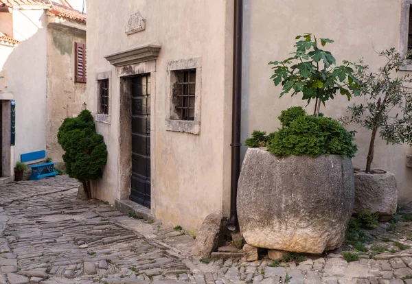 Typisk gränd i Grožnjan — Stockfoto