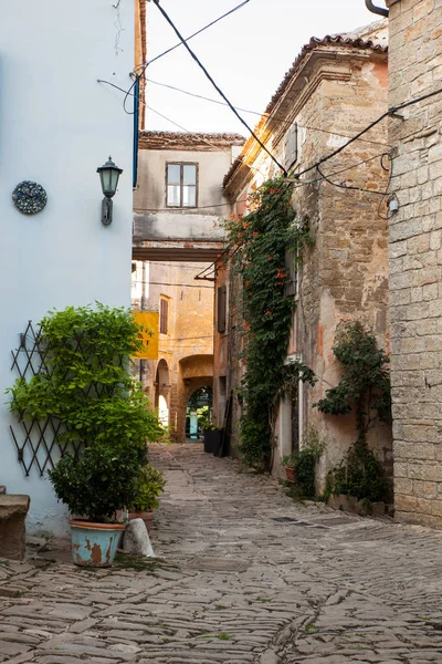 Typical Groznjan alley — Stock Photo, Image