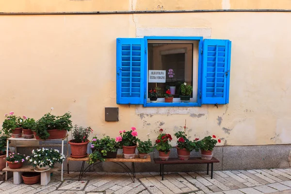 Синє вікно у місті Пореч — стокове фото
