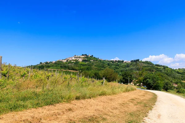 Motovun, Istria. Croatia — Stockfoto