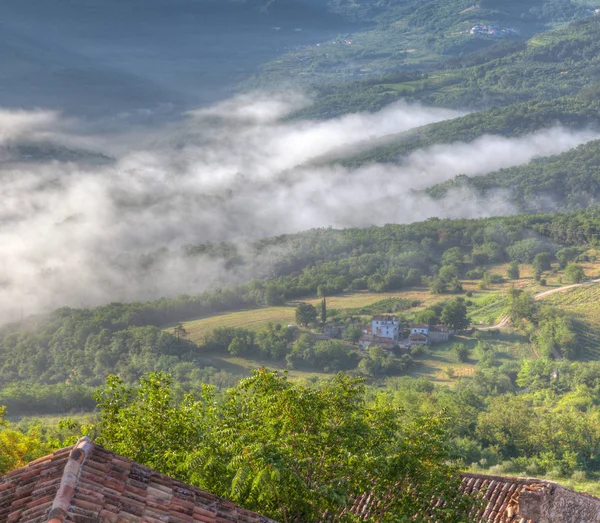 Salida del sol en el campo de Motovun — Foto de Stock