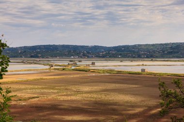 Secovlje Africanâ Tabiat Parkı