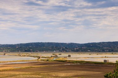 Secovlje Africanâ Tabiat Parkı