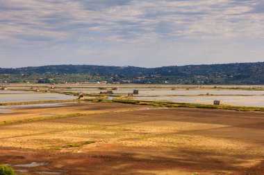 Secovlje Africanâ Tabiat Parkı