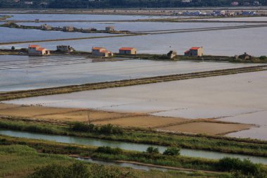Secovlje Africanâ Tabiat Parkı