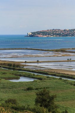 Secovlje Africanâ Tabiat Parkı
