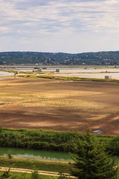 Secovlje Africanâ Tabiat Parkı — Stok fotoğraf