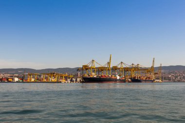 Vinç köprü Tersanesi 