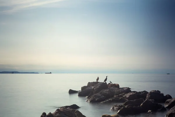 Trieste deniz görünümü — Stok fotoğraf